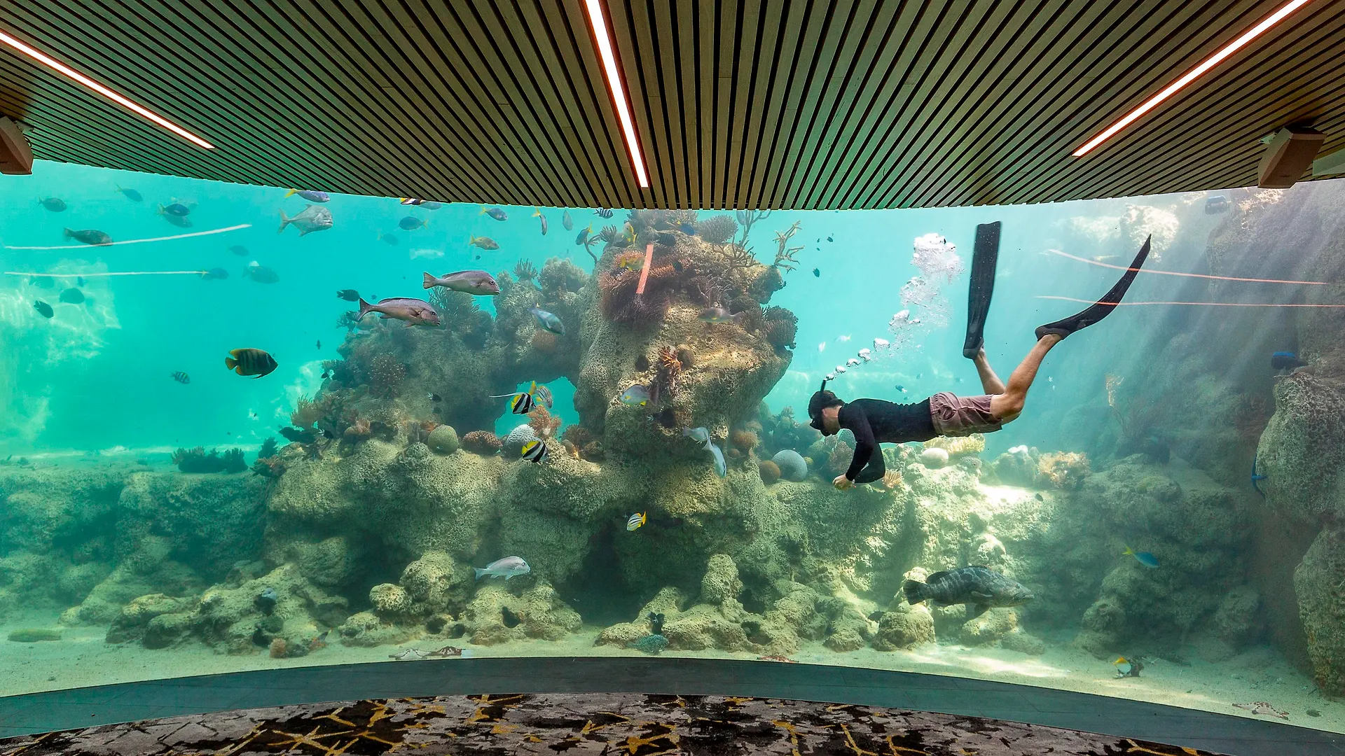 Daydream Island Resort